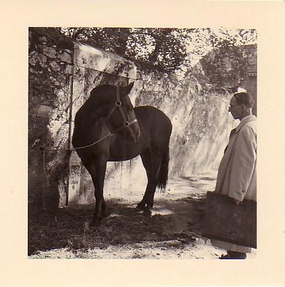 Émile Chambon au marché aux chevaux à Carouge, septembre 1957